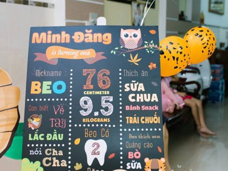 Sinh nhật BEO chủ đề động vật