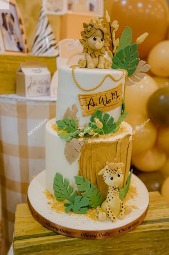 Bánh kem trang trí tiệc sinh nhật chủ đề Safari - bé An Woo Min